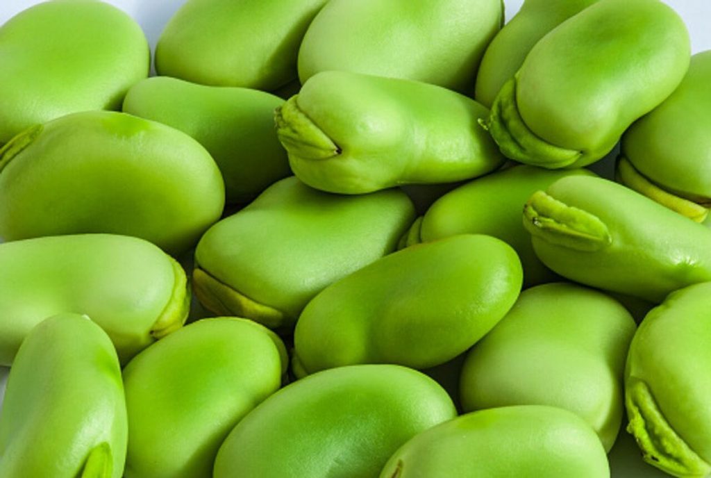 Frozen -Board beans