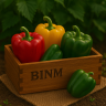 Fresh colored peppers